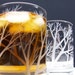 2 Double Old Fashioned Drinking Glasses . Hand Engraved With 'Reaching Branches'