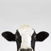 Cow No. 2, 7 x 8 Fine Art Print