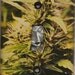 Big Bud Lightswitch Cover