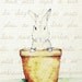 Mon Petit Lapin 8 x 10 Bunny Rabbit Print