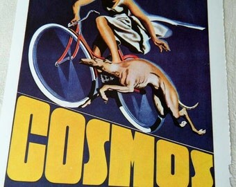 Vintage Bicycle Poster Cosmos Bicycle with Running Greyhound Dog Poster Size Book Plate