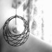 Web of Beauty
