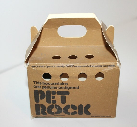 Vintage 1975 Pet Rock in Box with Care and Training Manual