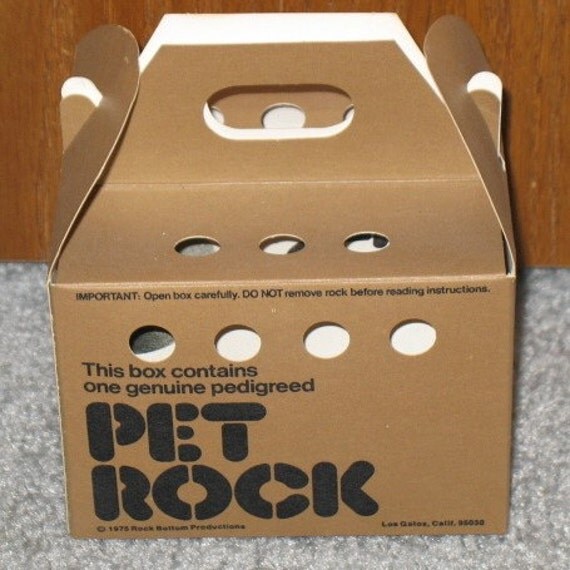 Original 1975 Pet Rock with Box Straw and Instruction Book