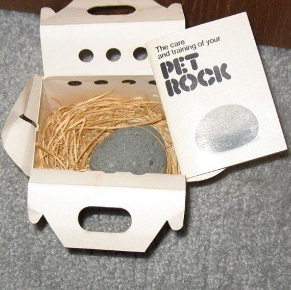 1975 Pet Rock Original In Brown Box