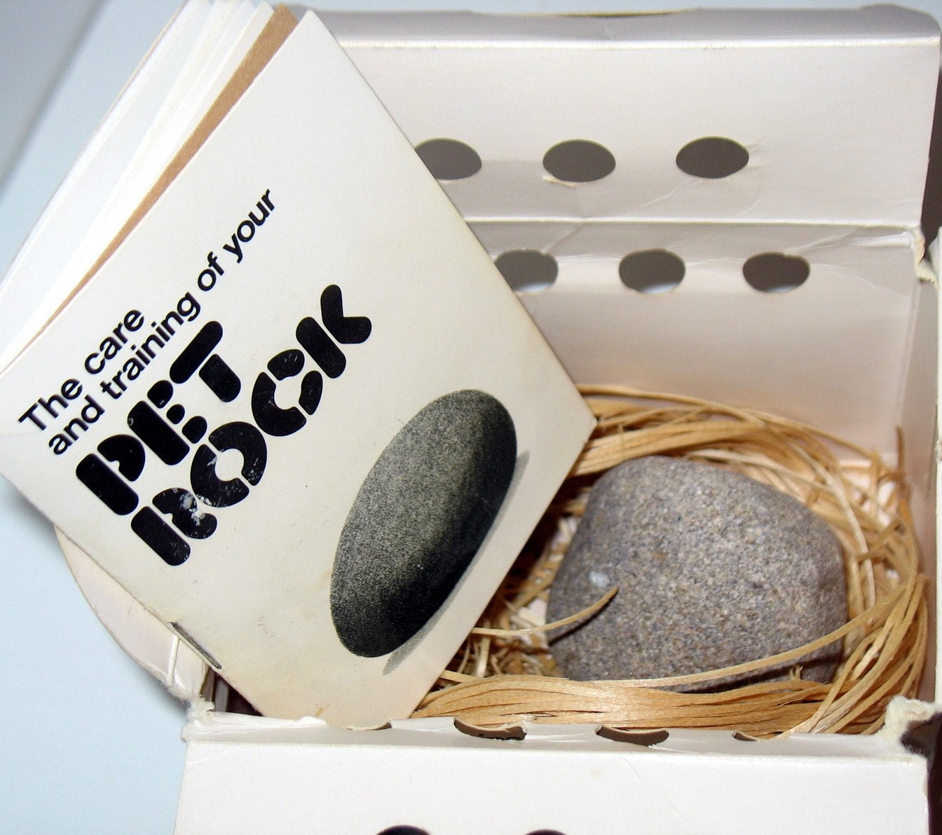Vintage 1975 Pet Rock in Box with Care and Training Manual