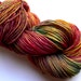 Hand dyed DK Yarn SW Merino Wool Wallflower 246 yards