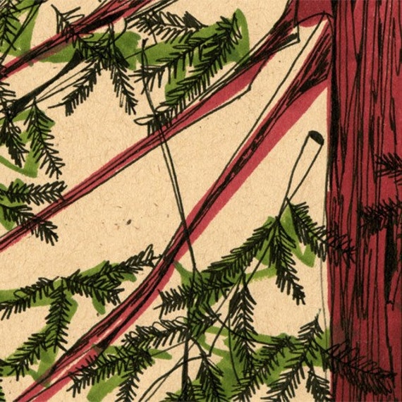 Retro Redwood Tree original ink illustration line drawing: