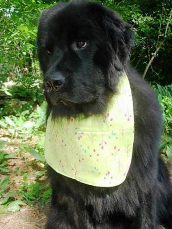 Large Dog Drool Bib Newfoundland / Saint Bernard / Mastiff