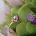Peacock Lotus Ring in 18k Rose Gold (Reserved for Kim)