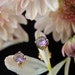 Natural Amethyst and 18k Gold Handmade Earrings, Ready to Ship
