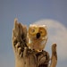 Ginger.. lampwork owl bead... double helix...sra