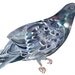 Rock Dove - Original painting