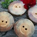 Wood Wooden Buttons...Beautiful White Pine Tree Branch Buttons - Lot of 4... 2 inch or 51 mm .. 2 holes...OOAK for Fiber Projects