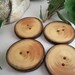 Handmade Wood Buttons - 4 White Spruce Tree Branch Buttons - 1 7/8 inch or 48 mm - for Hats, Scarves, Cowls, Pillows, bags