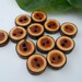 Tiny Wooden Buttons 12 English Yew Tree Branch Buttons 1/2 inch for Dolls Cloths, Teddy Bears, Cuffs, Phone Holders, Accents