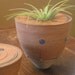 Crop Circle planter Lg