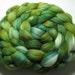 Merino 19 Micron Combed TOP 5 oz - Bracken 1 - OOAK