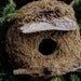 Rustic Birdhouse