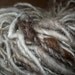SANDS OF TIME - Homespun Natural Sand and Brown Navajo Churro Yarn
