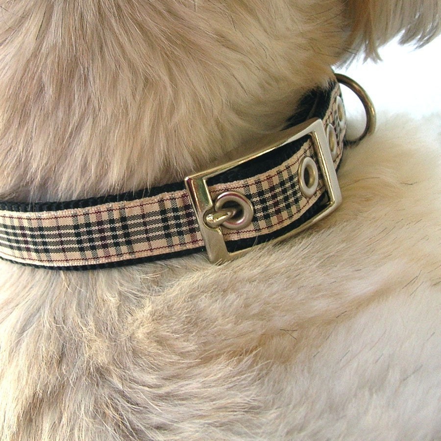 Burberry plaid dog collar