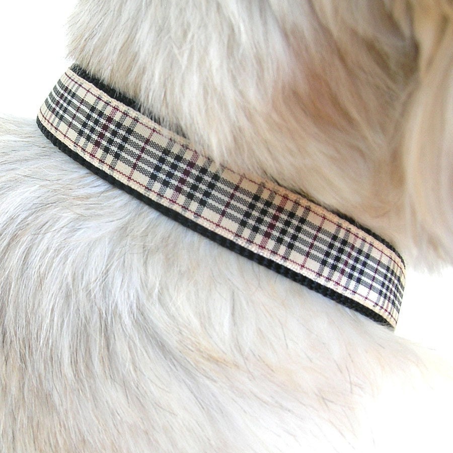 Burberry plaid dog collar