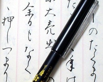 Japanese Brush fountain pen Sumi-e Calligraphy Kanji Hiragana Katakana