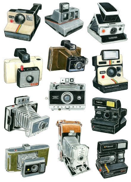 12 POLAROID CAMERA DRAWINGS Limited Edition Print A3