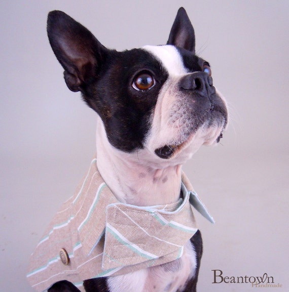 Items similar to SALE Striped Khaki Dog Jacket with Belt on Etsy