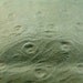 SALE SALE SALE - ostrich print minty green lambskin leather - a 6 square foot hide