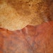 2 sided gorgeous thin, soft Italian PREMIUM lush lambskin leather in tones of brown about a 6 square foot
