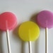 I never promised you a rose garden - 12 pc. lollipop - floral assortment