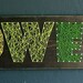 4 Letter Modern String Art Wooden Name Tablet - Made to Order