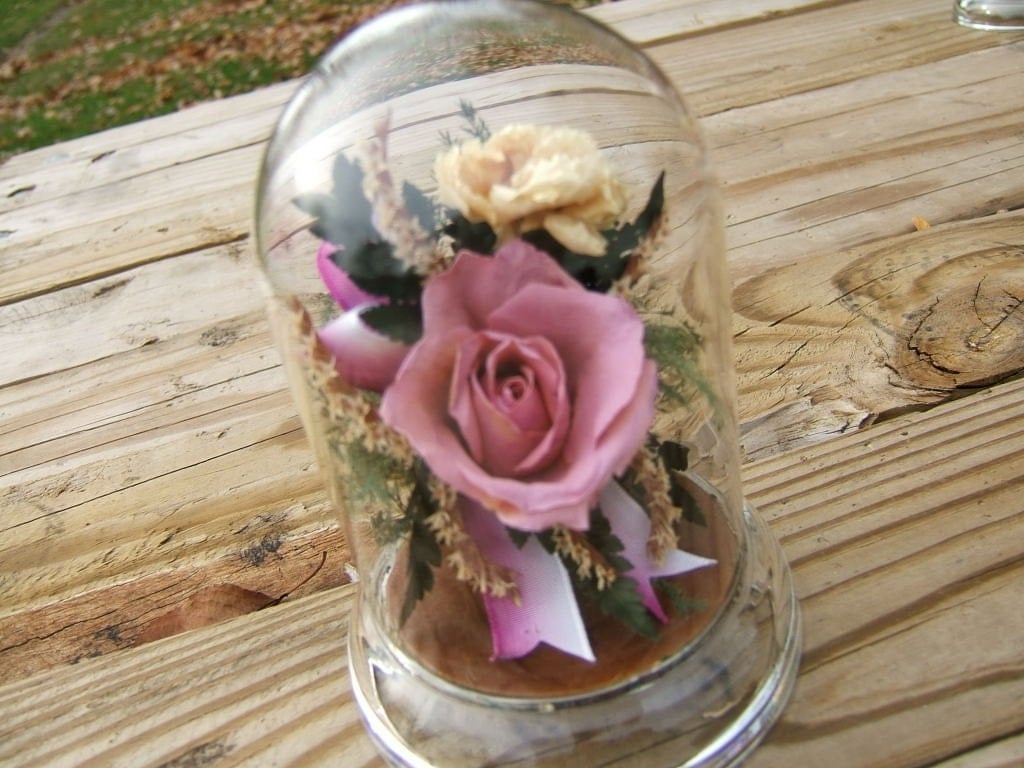 Beautiful Preserved Flowers under Glass Dome by LadyRoseTreasures