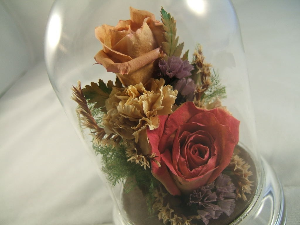 Preserved Flowers Under Glass Dome Deep Pink and Mauve