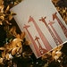 Set of 4 Letterpress Giraffe Cards