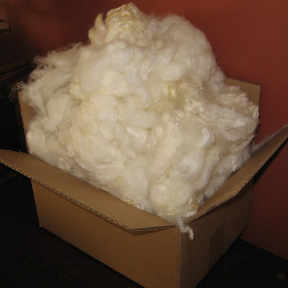 One Pound White Sheep Wool