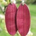 Gorgeous Light Weight Purple Heart Wood Earrings