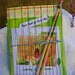 Paper Bead Making Kit w/ Card
