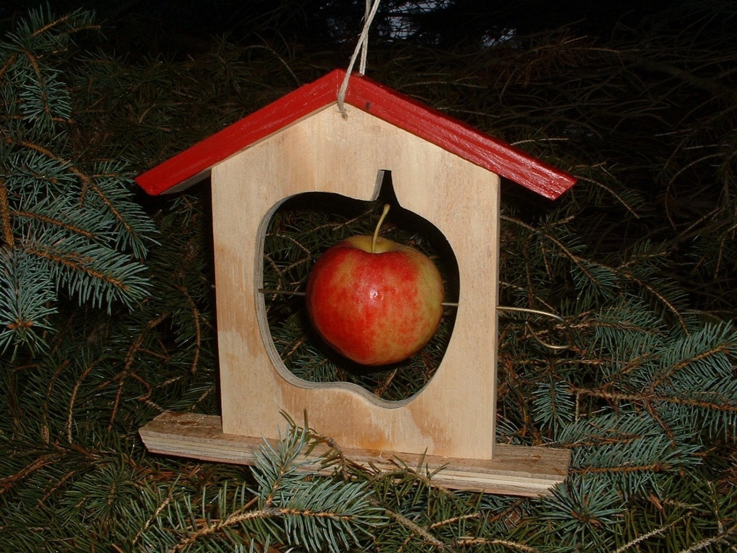 Handmade Apple Bird Feeder Wood Winter Summer Treat Teacher