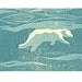 Polar bear swimming