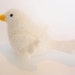 white dove stuffed animal