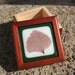 Green and White Leaf Treasure Box