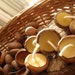 acorn cap candles (20) -- woodland /the littlest lights/ floating candles