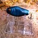 Art glass fishing lure ornament