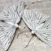 Handmade Fabric Moth Ornament - Textile Lepidoptera