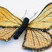 fabric lycaenidae butterfly brooch / ornament yellow gold