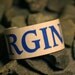 Virginia license plate cuff