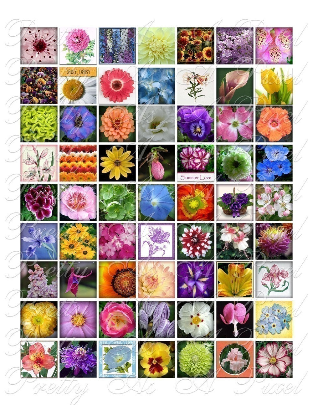 Flowers from Your Garden Digital Collage Sheet 3 sizes