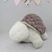 Wool Turtle